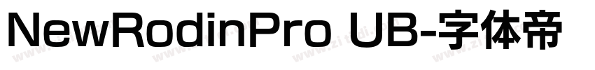 NewRodinPro UB字体转换